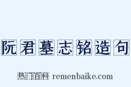 阮君墓志铭造句是什么意思的图片